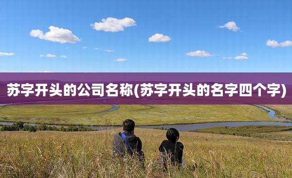 苏字开头的公司名称(苏字开头的名字四个字)