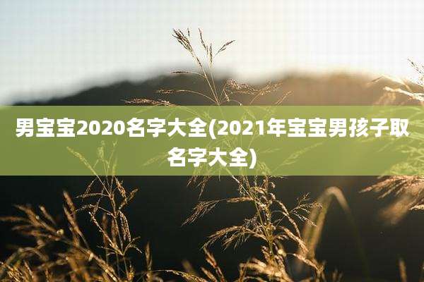 男宝宝2020名字大全(2021年宝宝男孩子取名字大全)