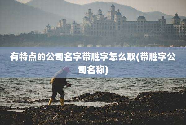 有特点的公司名字带胜字怎么取(带胜字公司名称)