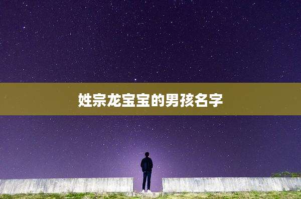 姓宗龙宝宝的男孩名字