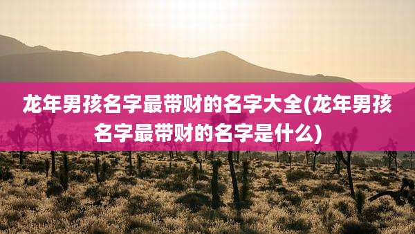 龙年男孩名字最带财的名字大全(龙年男孩名字最带财的名字是什么)
