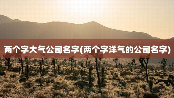 两个字大气公司名字(两个字洋气的公司名字)