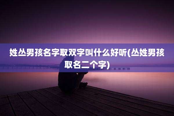 姓丛男孩名字取双字叫什么好听(丛姓男孩取名二个字)