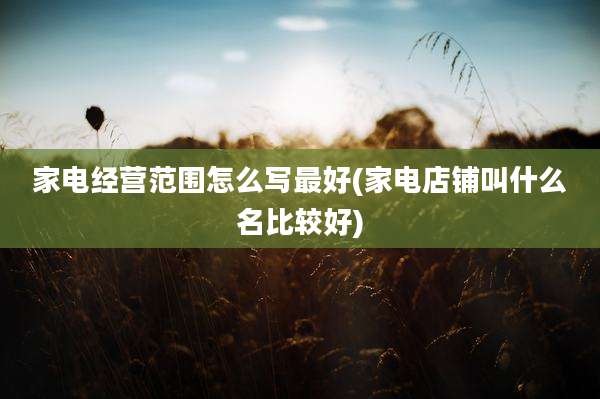 家电经营范围怎么写最好(家电店铺叫什么名比较好)