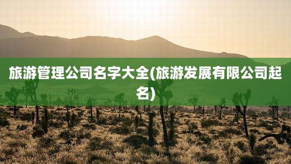 旅游管理公司名字大全(旅游发展有限公司起名)