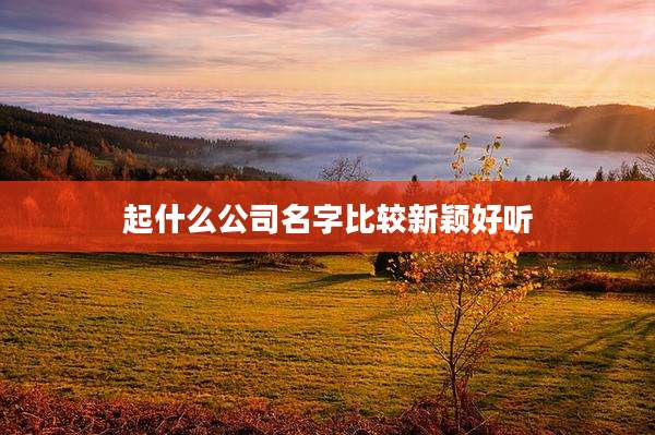 起什么公司名字比较新颖好听