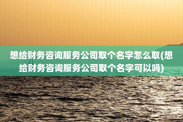 想给财务咨询服务公司取个名字怎么取(想给财务咨询服务公司取个名字可以吗)