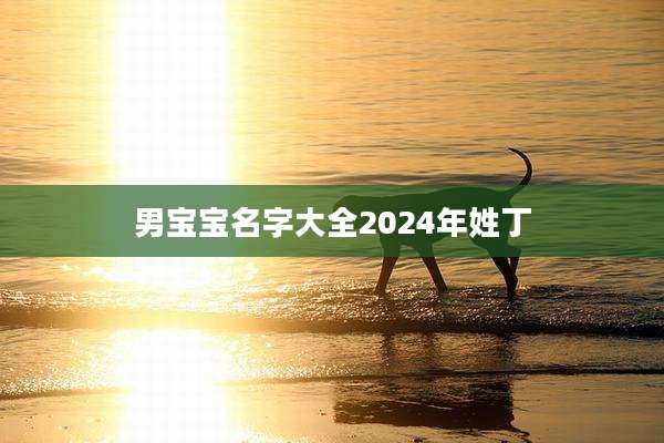 男宝宝名字大全2024年姓丁