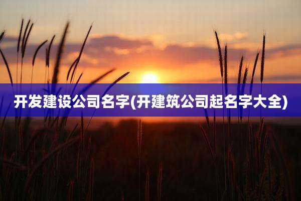 开发建设公司名字(开建筑公司起名字大全)