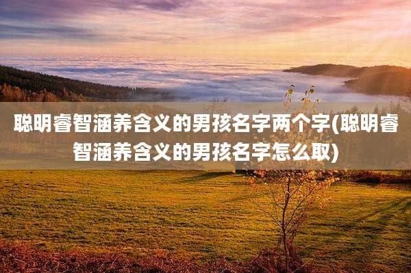 聪明睿智涵养含义的男孩名字两个字(聪明睿智涵养含义的男孩名字怎么取)