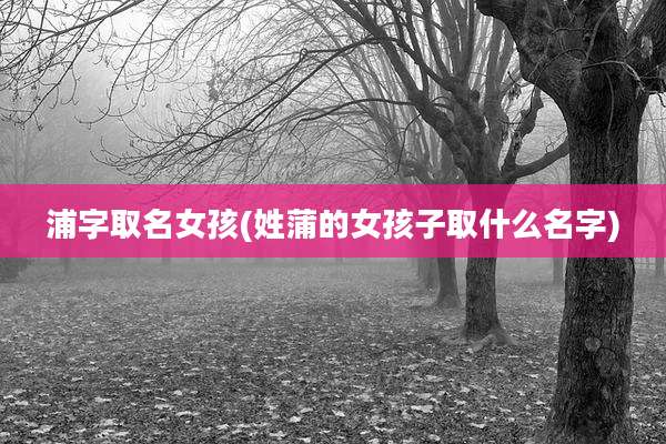 浦字取名女孩(姓蒲的女孩子取什么名字)
