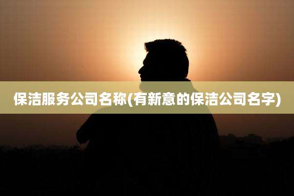 保洁服务公司名称(有新意的保洁公司名字)