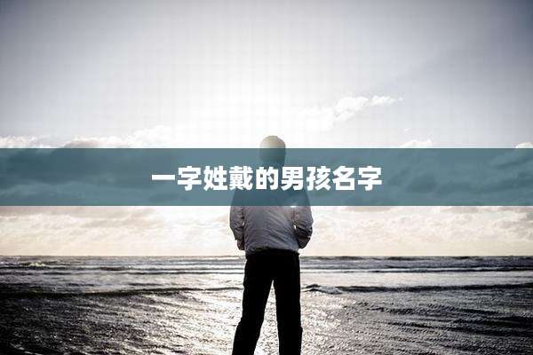 一字姓戴的男孩名字