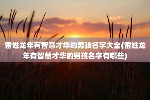 雷姓龙年有智慧才华的男孩名字大全(雷姓龙年有智慧才华的男孩名字有哪些)