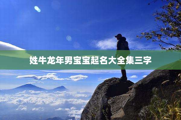 姓牛龙年男宝宝起名大全集三字