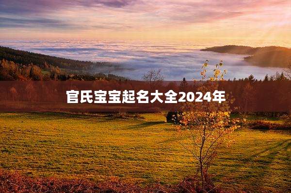 官氏宝宝起名大全2024年
