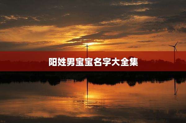 阳姓男宝宝名字大全集