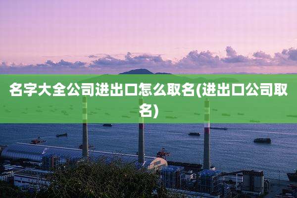 名字大全公司进出口怎么取名(进出口公司取名)