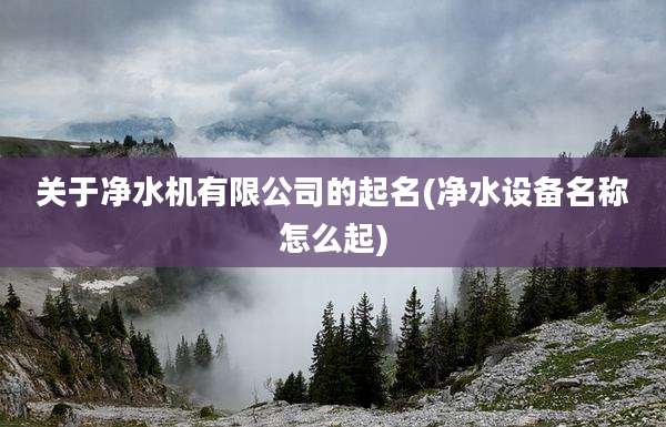 关于净水机有限公司的起名(净水设备名称怎么起)