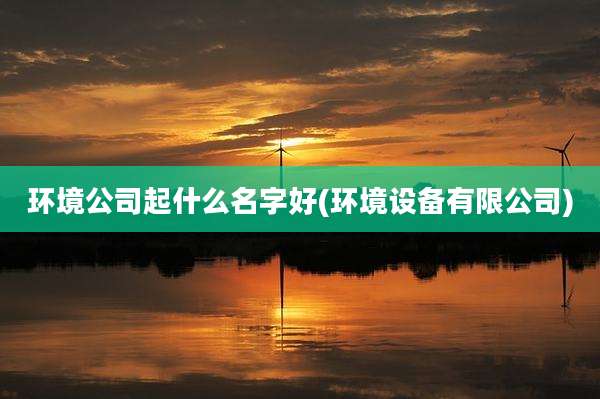 环境公司起什么名字好(环境设备有限公司)