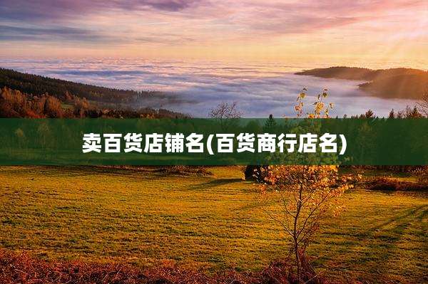 卖百货店铺名(百货商行店名)