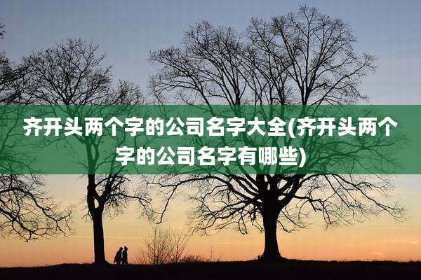 齐开头两个字的公司名字大全(齐开头两个字的公司名字有哪些)