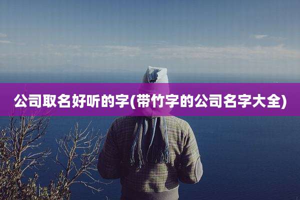 公司取名好听的字(带竹字的公司名字大全)