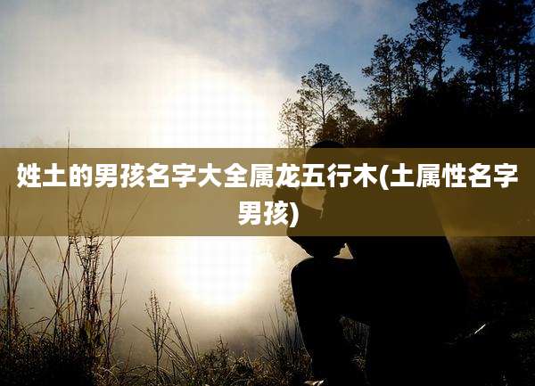 姓土的男孩名字大全属龙五行木(土属性名字男孩)