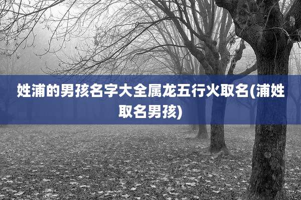 姓浦的男孩名字大全属龙五行火取名(浦姓取名男孩)