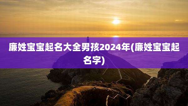 廉姓宝宝起名大全男孩2024年(廉姓宝宝起名字)