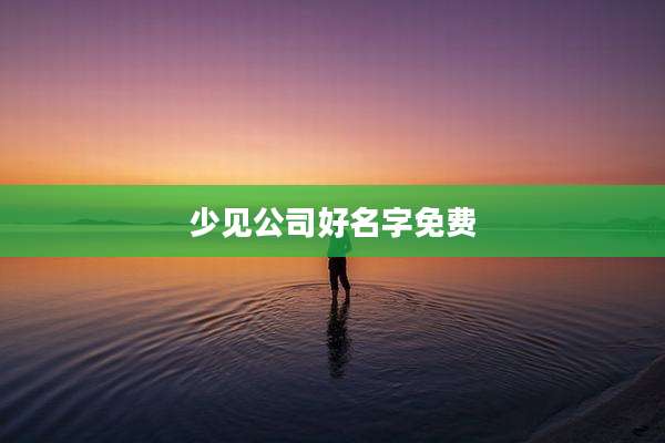 少见公司好名字免费