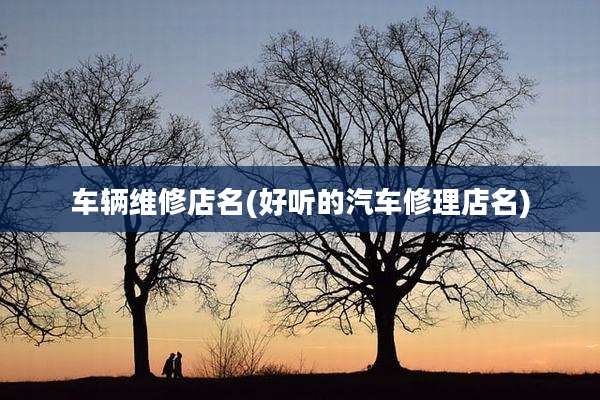 车辆维修店名(好听的汽车修理店名)