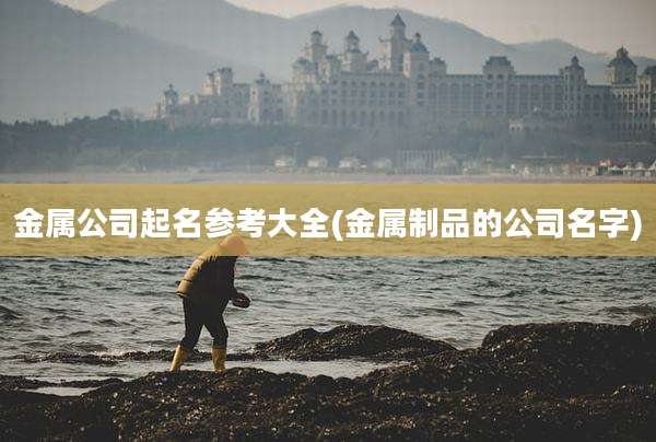 金属公司起名参考大全(金属制品的公司名字)