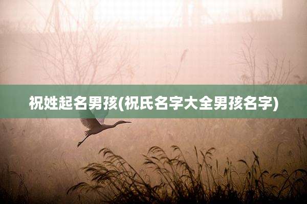祝姓起名男孩(祝氏名字大全男孩名字)