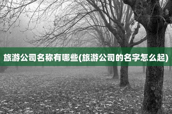 旅游公司名称有哪些(旅游公司的名字怎么起)
