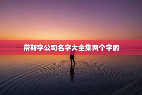 带斯字公司名字大全集两个字的