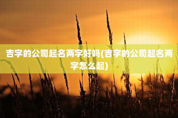 吉字的公司起名两字好吗(吉字的公司起名两字怎么起)
