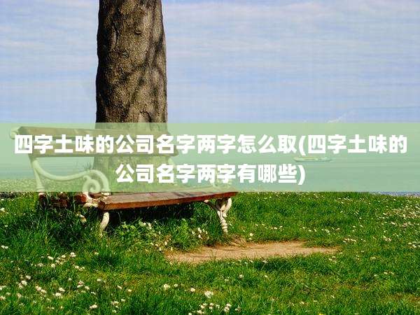 四字土味的公司名字两字怎么取(四字土味的公司名字两字有哪些)