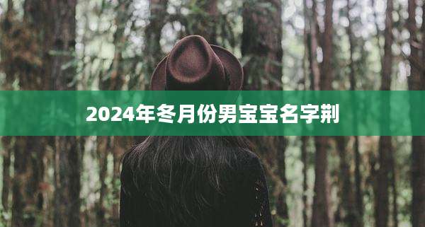 2024年冬月份男宝宝名字荆