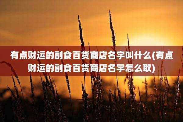 有点财运的副食百货商店名字叫什么(有点财运的副食百货商店名字怎么取)