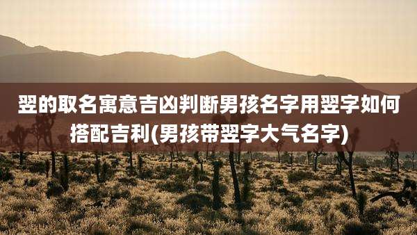 翌的取名寓意吉凶判断男孩名字用翌字如何搭配吉利(男孩带翌字大气名字)
