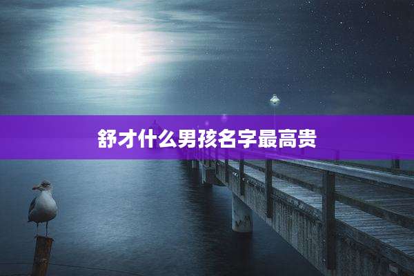 舒才什么男孩名字最高贵