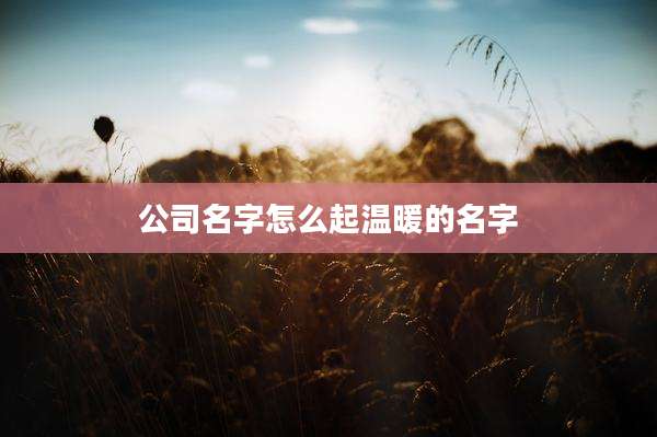 公司名字怎么起温暖的名字