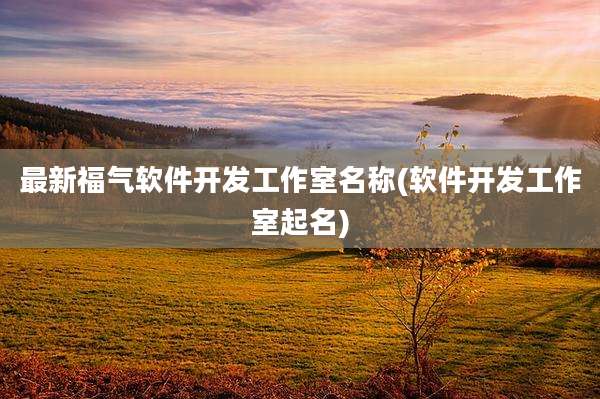 最新福气软件开发工作室名称(软件开发工作室起名)