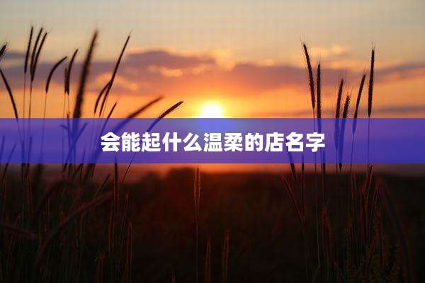 会能起什么温柔的店名字