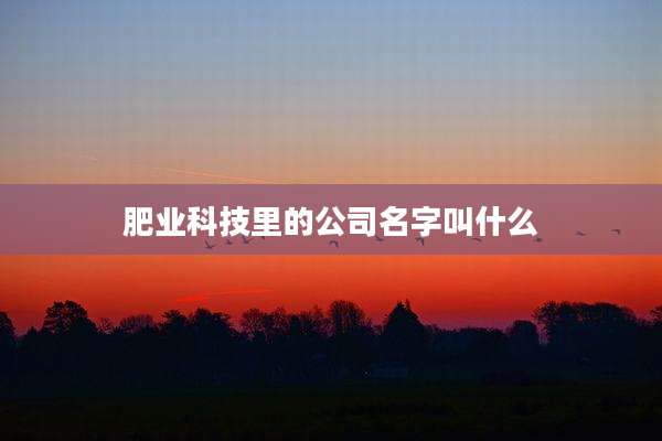 肥业科技里的公司名字叫什么