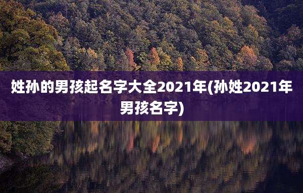 姓孙的男孩起名字大全2021年(孙姓2021年男孩名字)