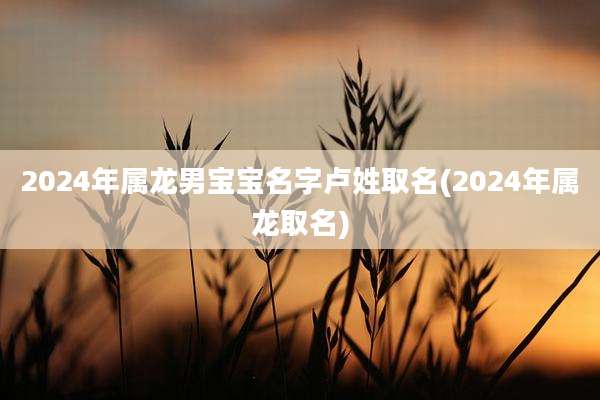 2024年属龙男宝宝名字卢姓取名(2024年属龙取名)