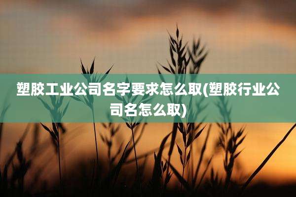 塑胶工业公司名字要求怎么取(塑胶行业公司名怎么取)