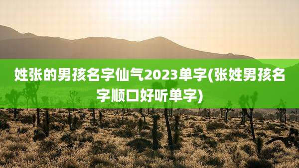姓张的男孩名字仙气2023单字(张姓男孩名字顺口好听单字)